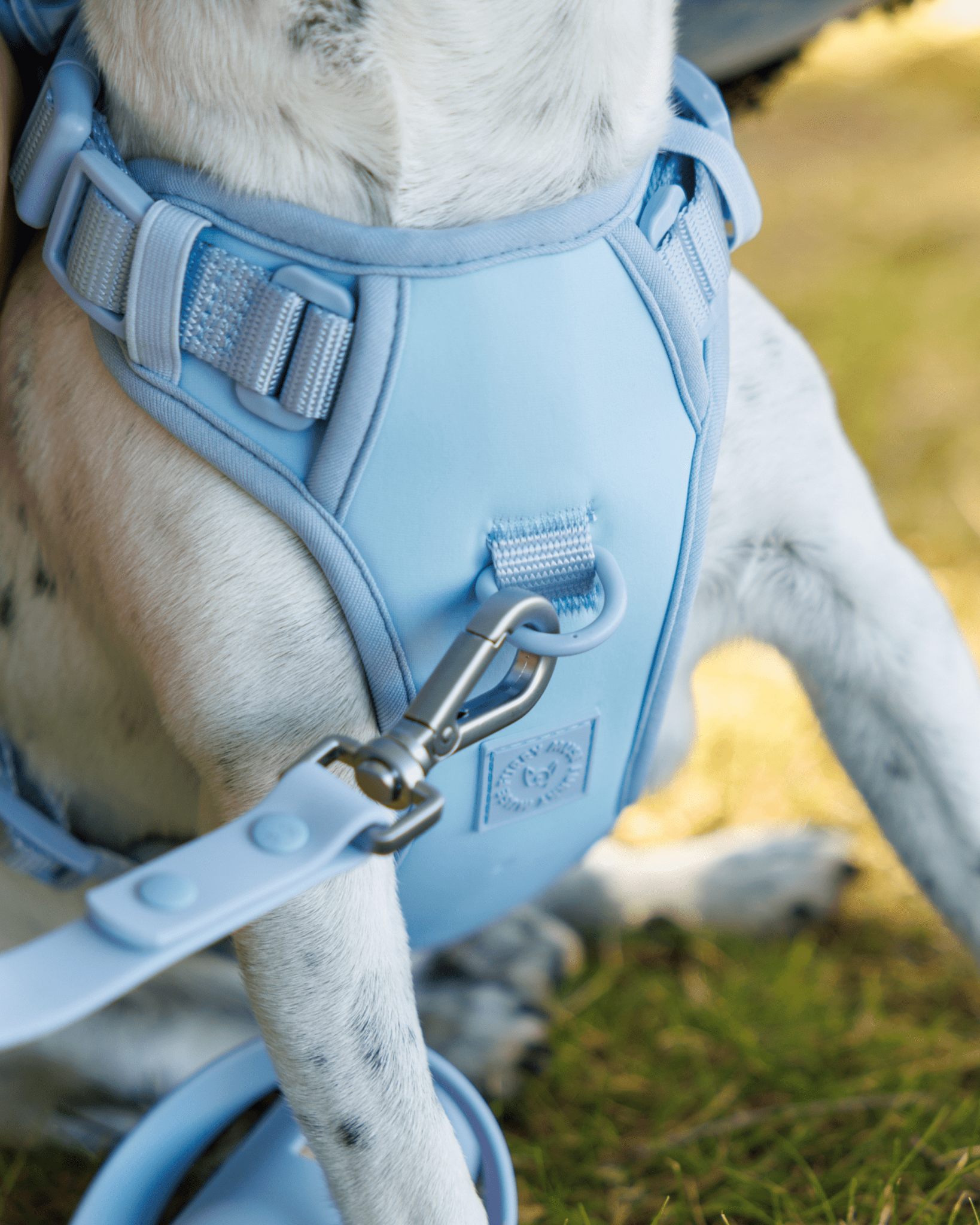 Wander! Bow Harness Kit Sky - FURRY MUSE WAN - BOW - HKIT - XS - BL