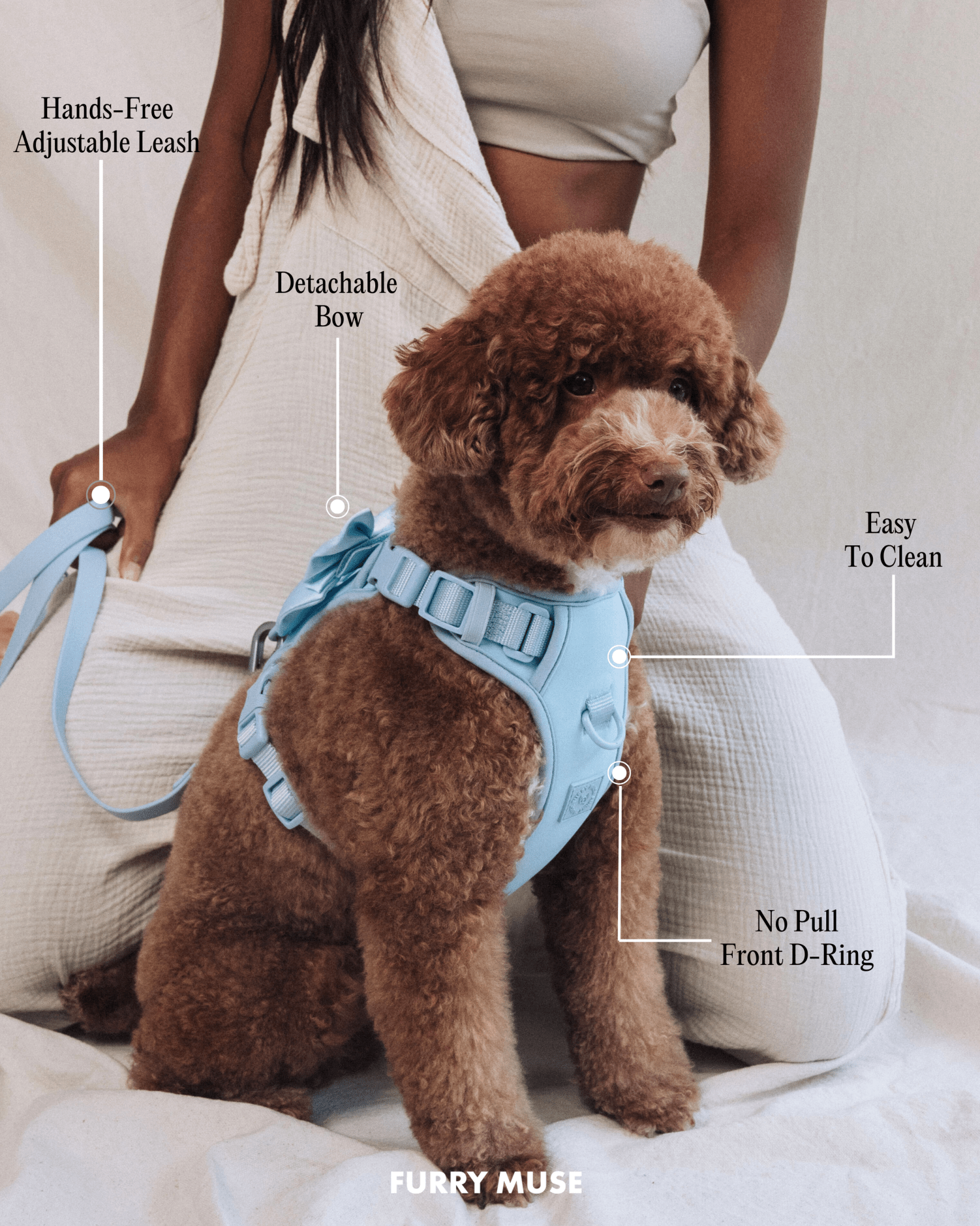 Wander! Bow Harness Kit Sky - FURRY MUSE WAN - BOW - HKIT - XS - BL