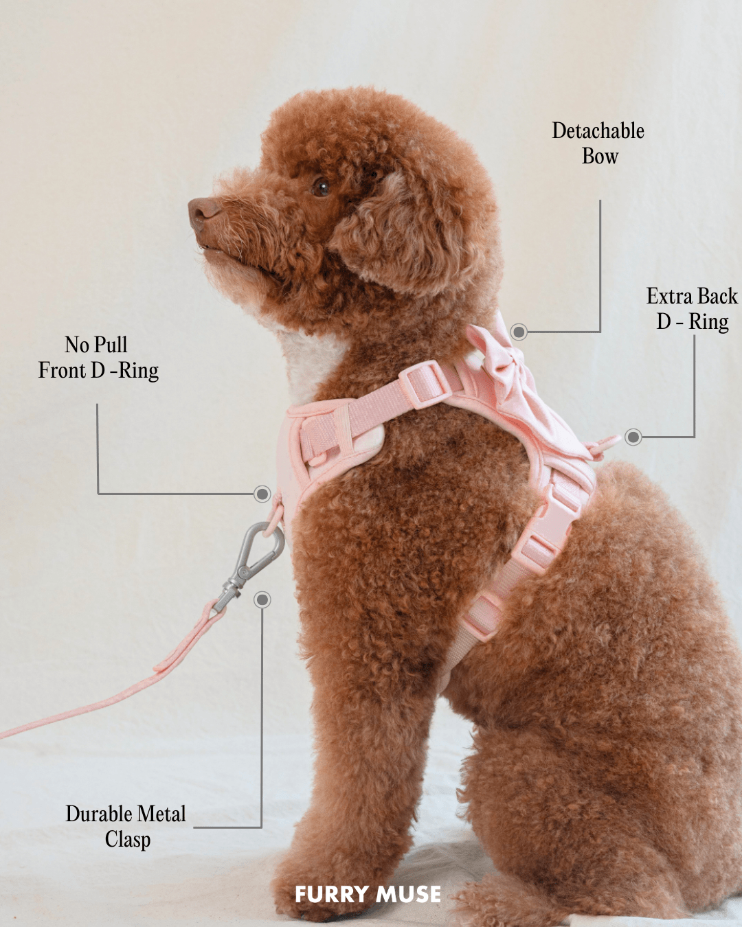 Wander! Bow Harness Leopard - FURRY MUSE WAN - HAR2 - XS - LEO
