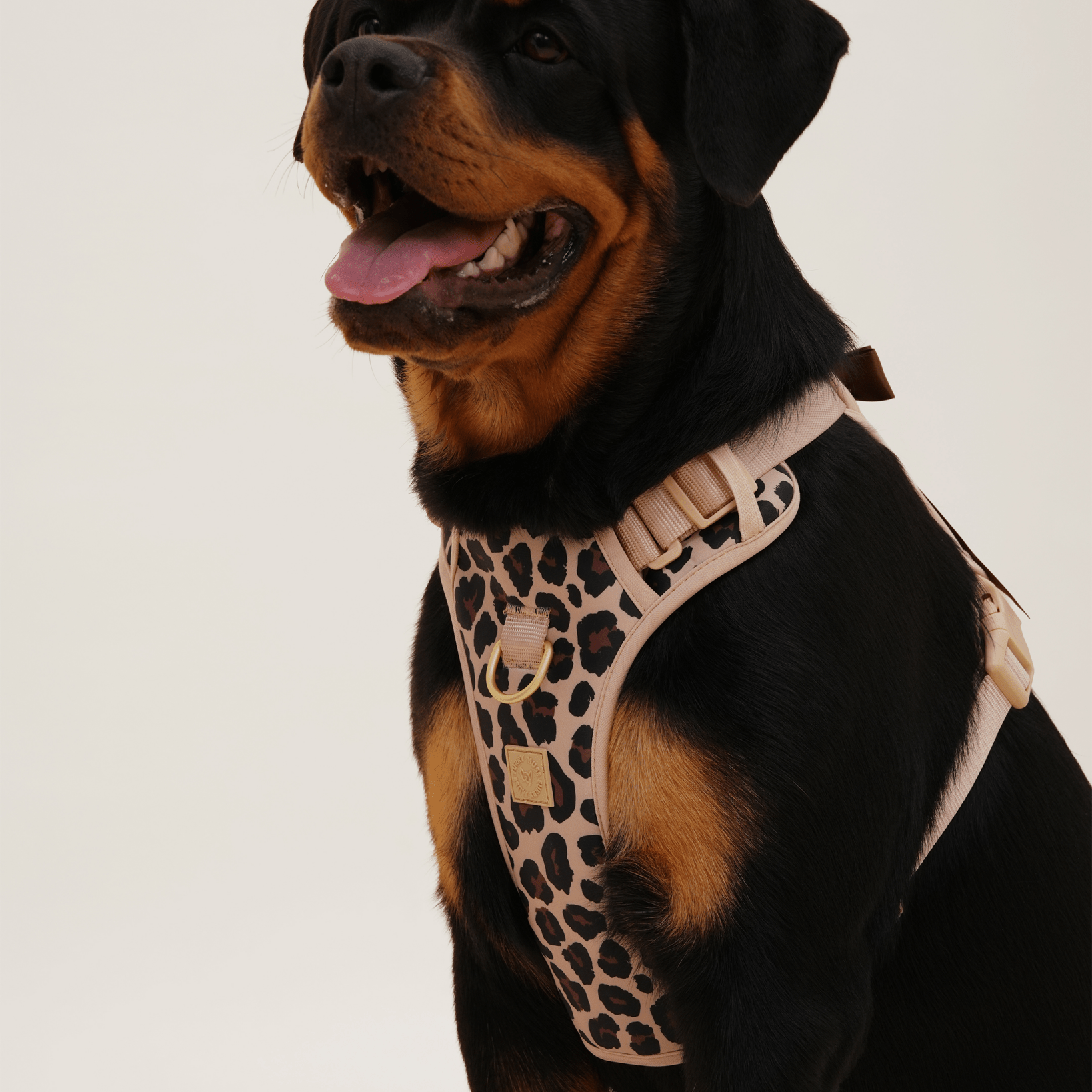Wander! Bow Harness Leopard - FURRY MUSE WAN - HAR2 - XS - LEO