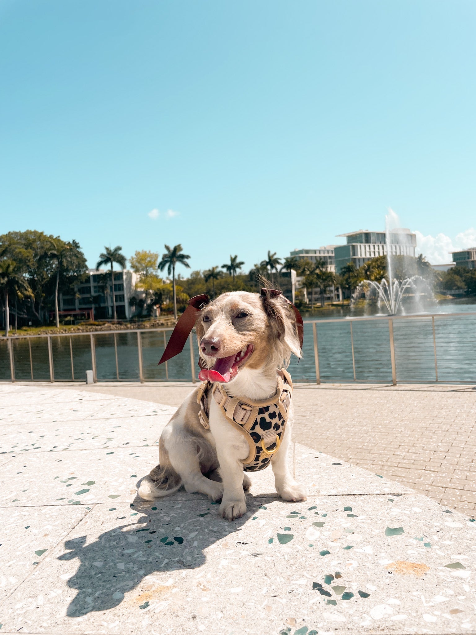 Wander! Bow Harness Leopard - FURRY MUSE WAN - HAR2 - XS - LEO