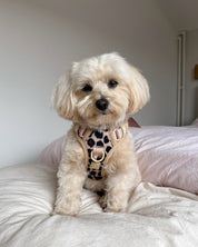 Wander! Bow Harness Leopard - FURRY MUSE WAN - HAR2 - XS - LEO