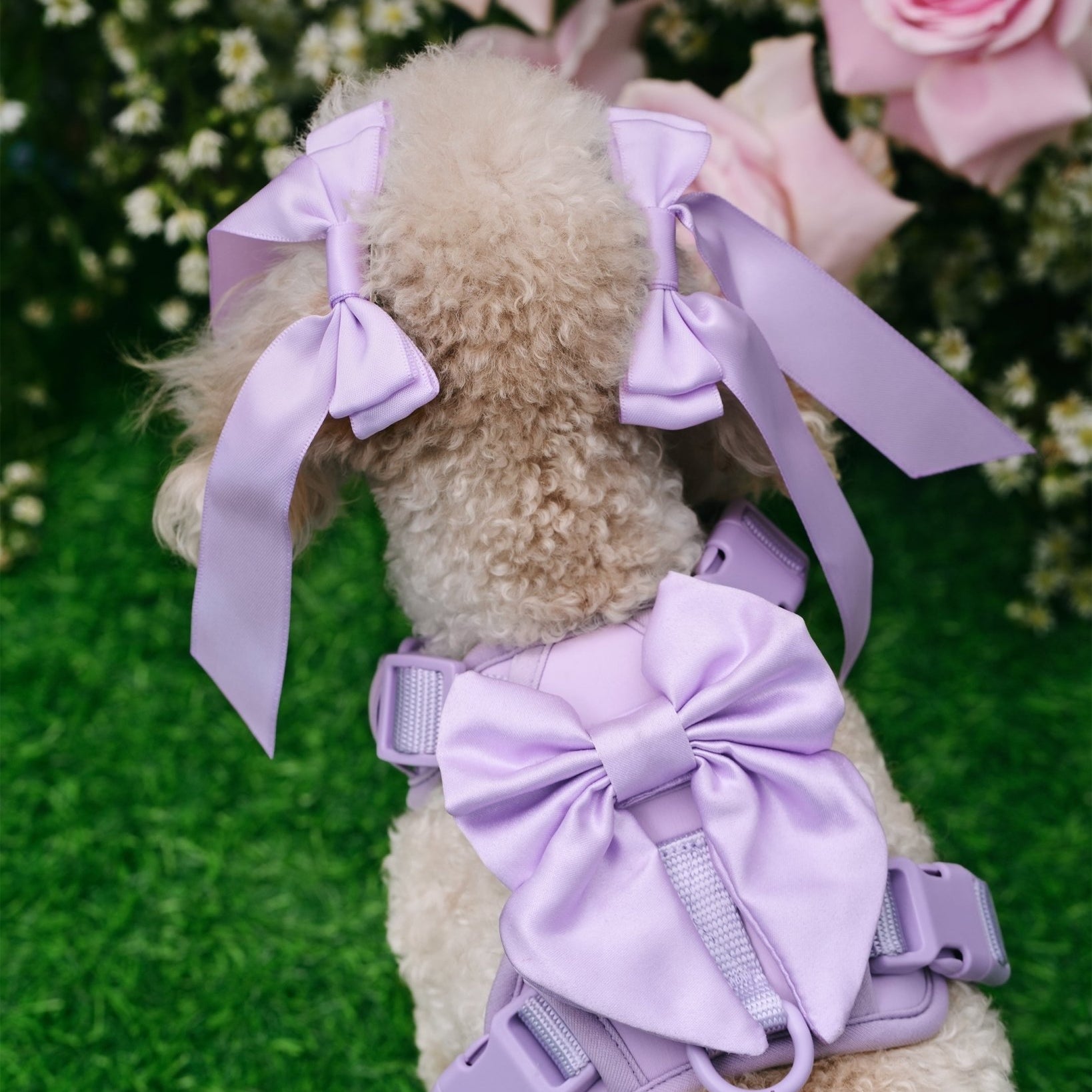 Wander! Bow Harness Lilac - FURRY MUSE WAN - HAR2 - XS - LI