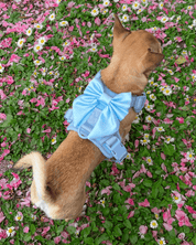 Wander! Bow Harness Sky - FURRY MUSE WAN - HAR2 - XS - BL