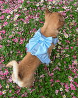 Wander! Bow Harness Sky