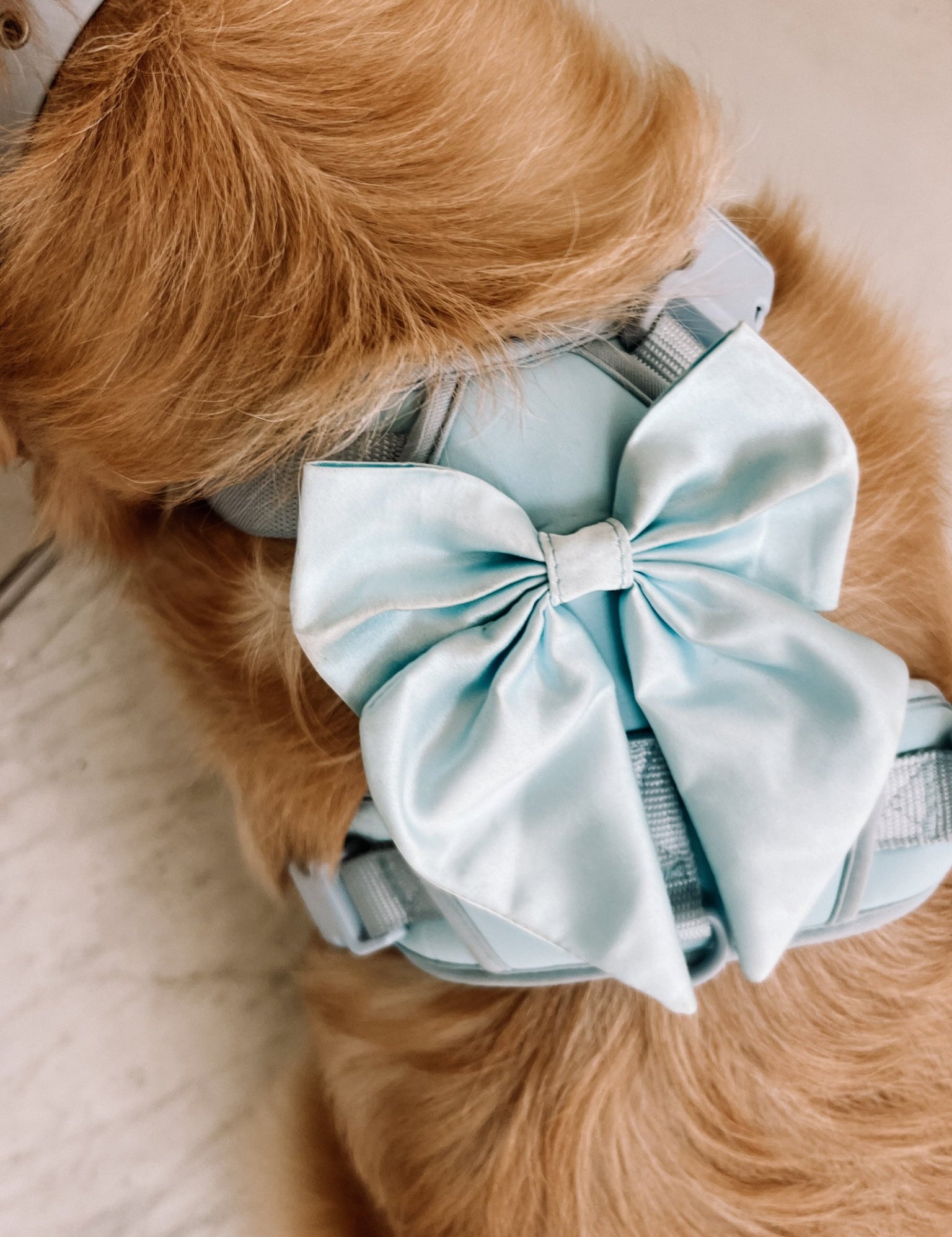 Wander! Bow Harness Sky - FURRY MUSE