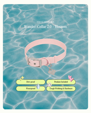 Wander! Collar 2.0 - Blossom - FURRY MUSE WAN-COL2-S-PN-GO