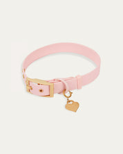 Wander! Collar 2.0 - Blossom - FURRY MUSE WAN-COL2-S-PN-GO
