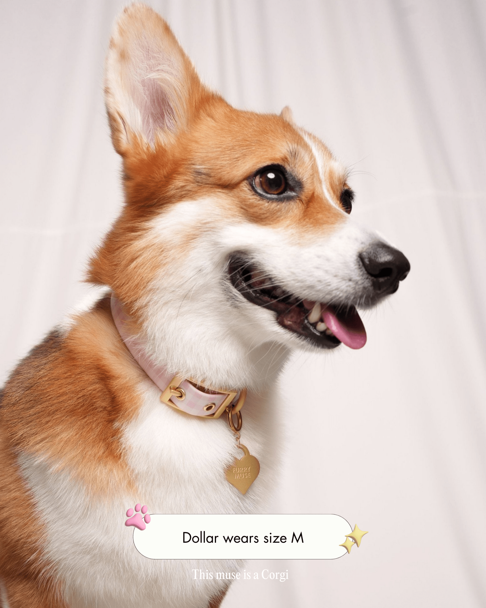 Wander! Collar 2.0 - Blossom Gingham - FURRY MUSE WAN-COL2-S-PNP