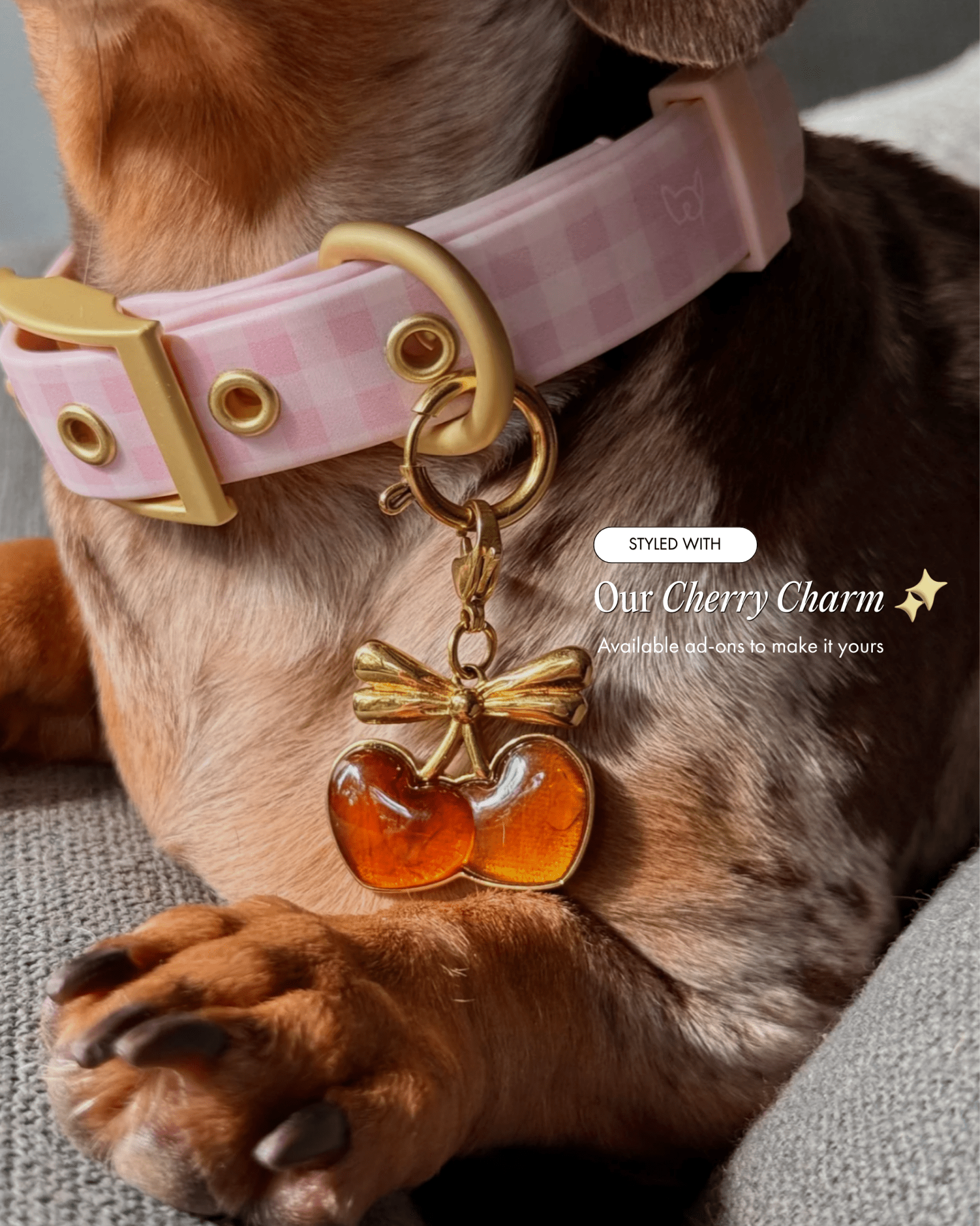 Wander! Collar 2.0 - Blossom Gingham - FURRY MUSE WAN-COL2-S-PNP