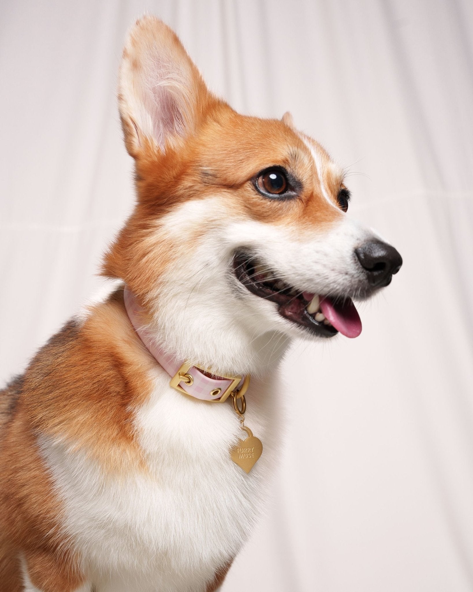 Wander! Collar 2.0 – Blossom Gingham | Waterproof Dog Collar with