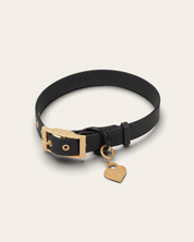 Wander! Collar 2.0 - Midnight - FURRY MUSE WAN-COL2-S-BLK-GO