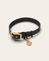 Wander! Collar 2.0 - Midnight