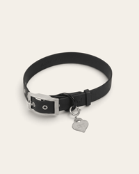 Wander! Collar 2.0 - Midnight