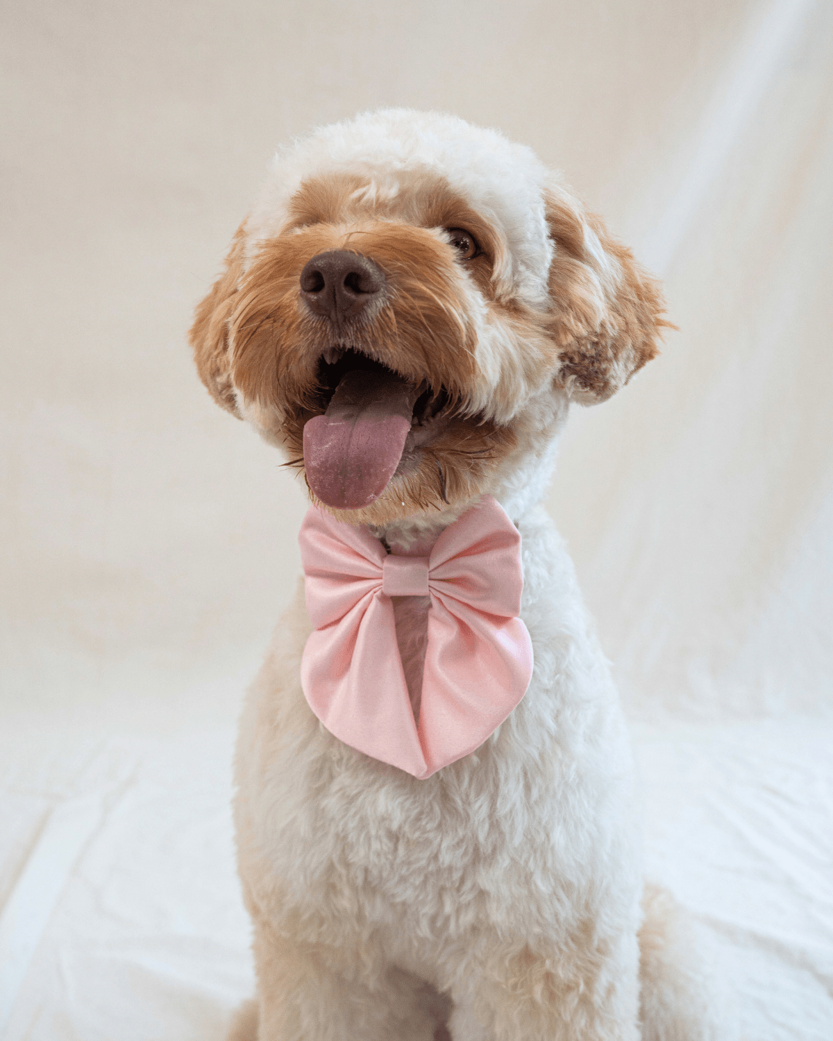 Cute Dog Collars Christmas Dog Collar With Bow Tie Adjustable Dog