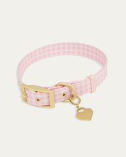 Wander! Collar Kit - Blossom Gingham - FURRY MUSE WAN-CKIT-S-6FT-PNP