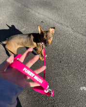 Wander! Collar Kit - Bubblegum - FURRY MUSE WAN-CKIT-S-MA