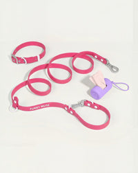 Wander! Collar Kit - Bubblegum