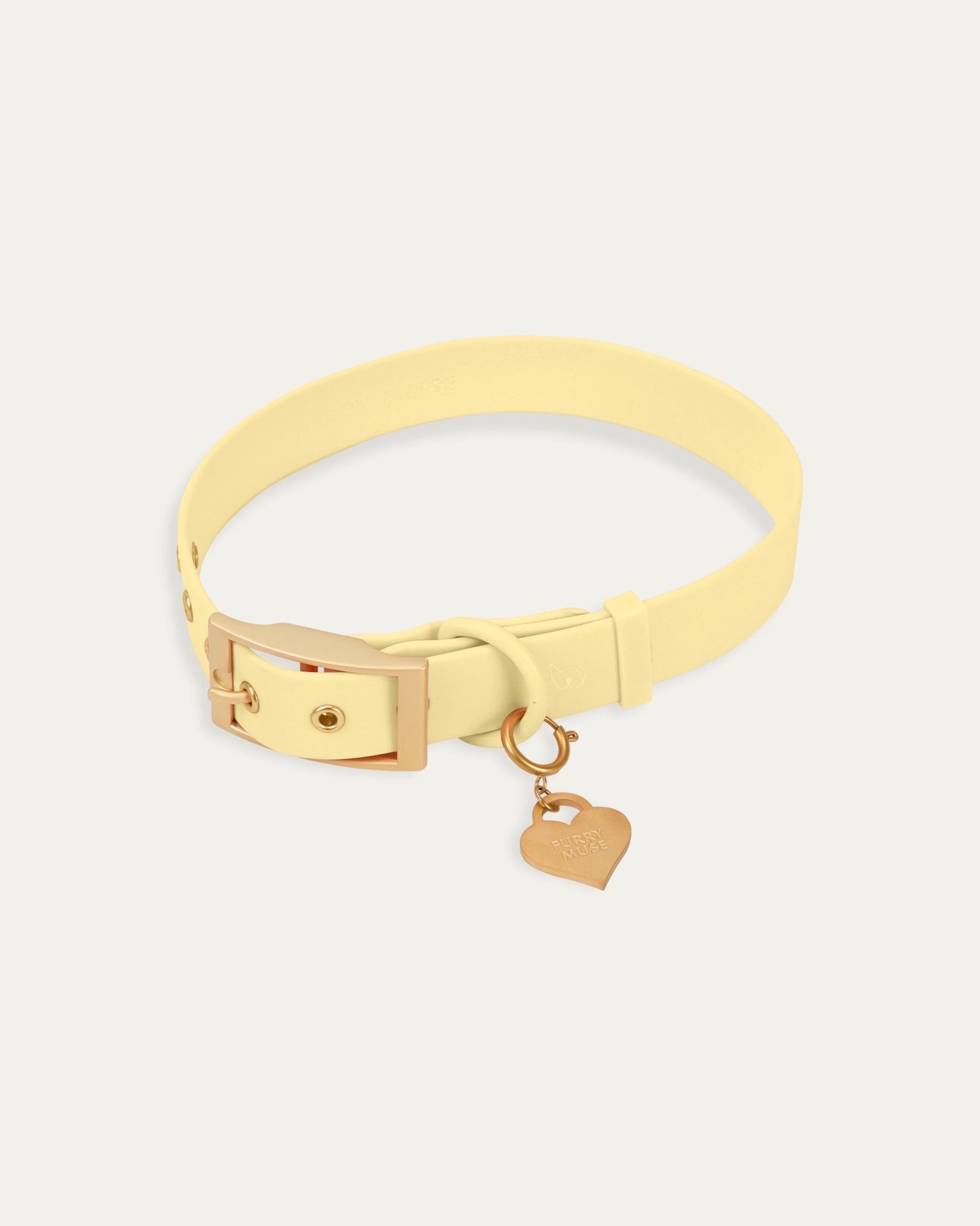 Wander! Collar Kit - Buttercream - FURRY MUSE WAN-CKIT-S-6FT-YL