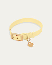 Wander! Collar Kit - Buttercream - FURRY MUSE WAN-CKIT-S-6FT-YL