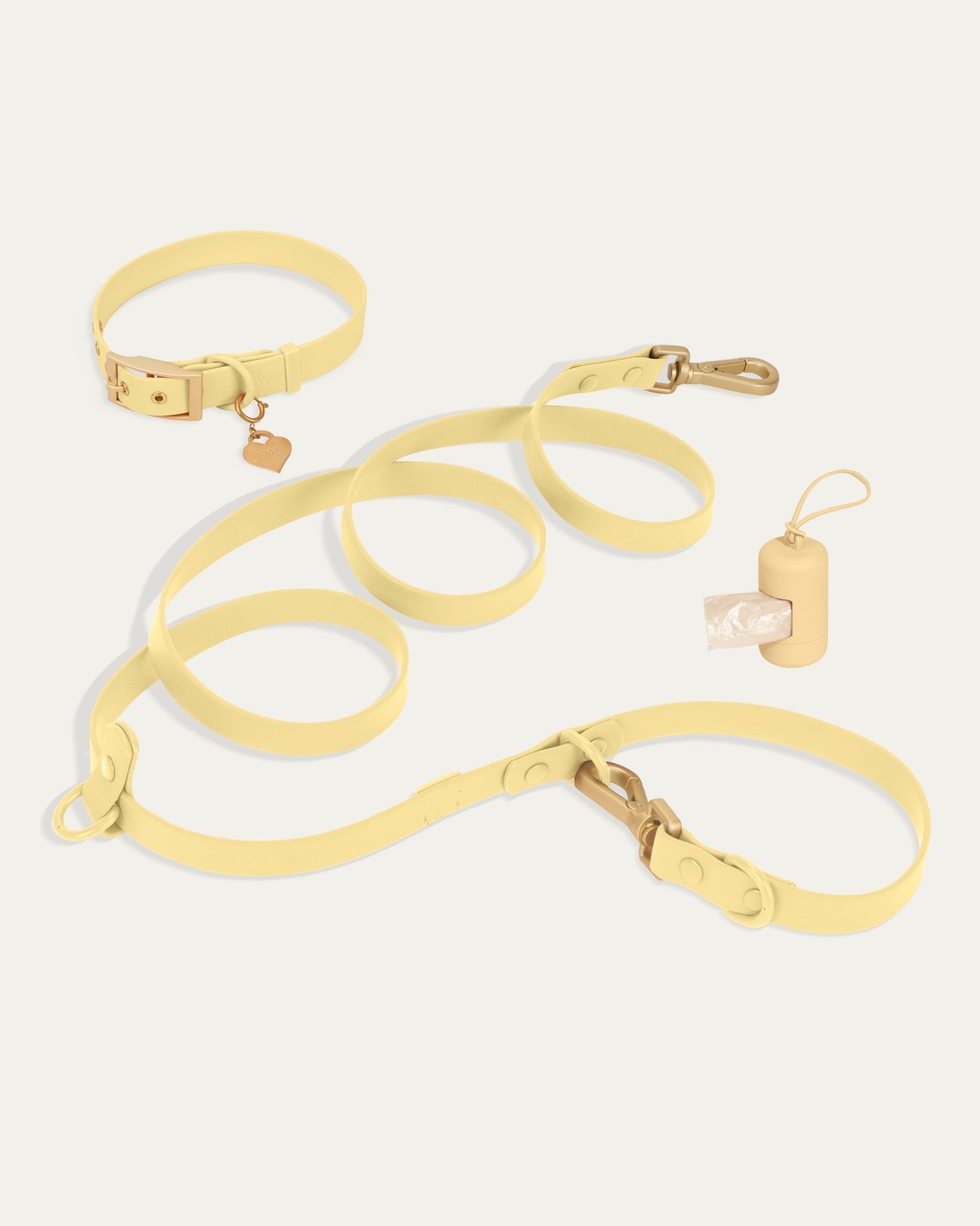 Wander! Collar Kit - Buttercream - FURRY MUSE WAN-CKIT-S-6FT-YL