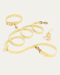 Wander! Collar Kit - Buttercream - S / Buttercream / 7FT (Small Dogs)