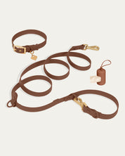 Wander! Collar Kit - Cocoa - FURRY MUSE WAN-CKIT-S-6FT-BR