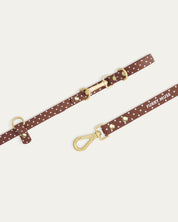 Wander! Collar Kit - Cocoa Polka Dot - FURRY MUSE WAN-CKIT-S-6FT-BRP