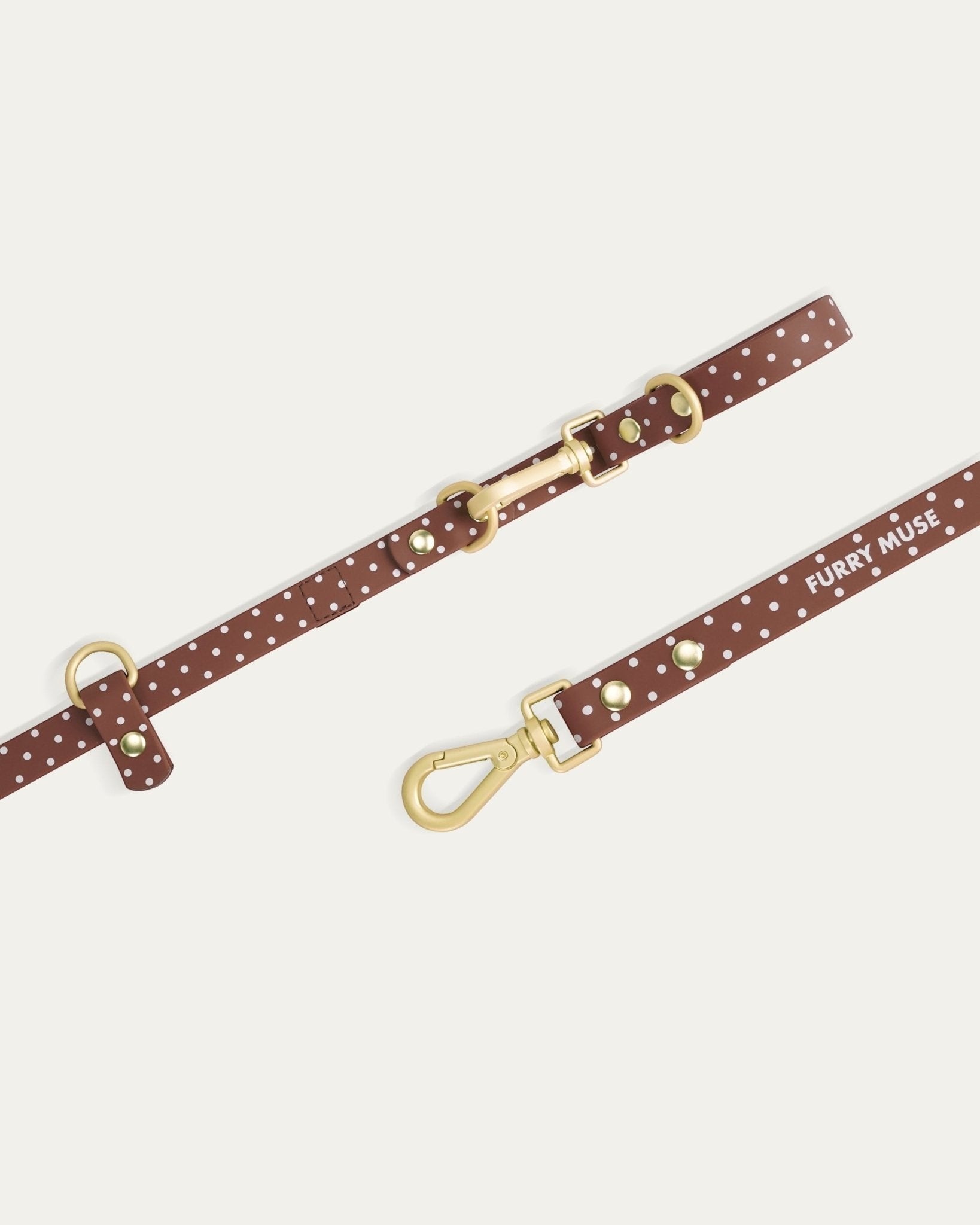 Wander! Collar Kit - Cocoa Polka Dot - FURRY MUSE WAN-CKIT-S-6FT-BRP