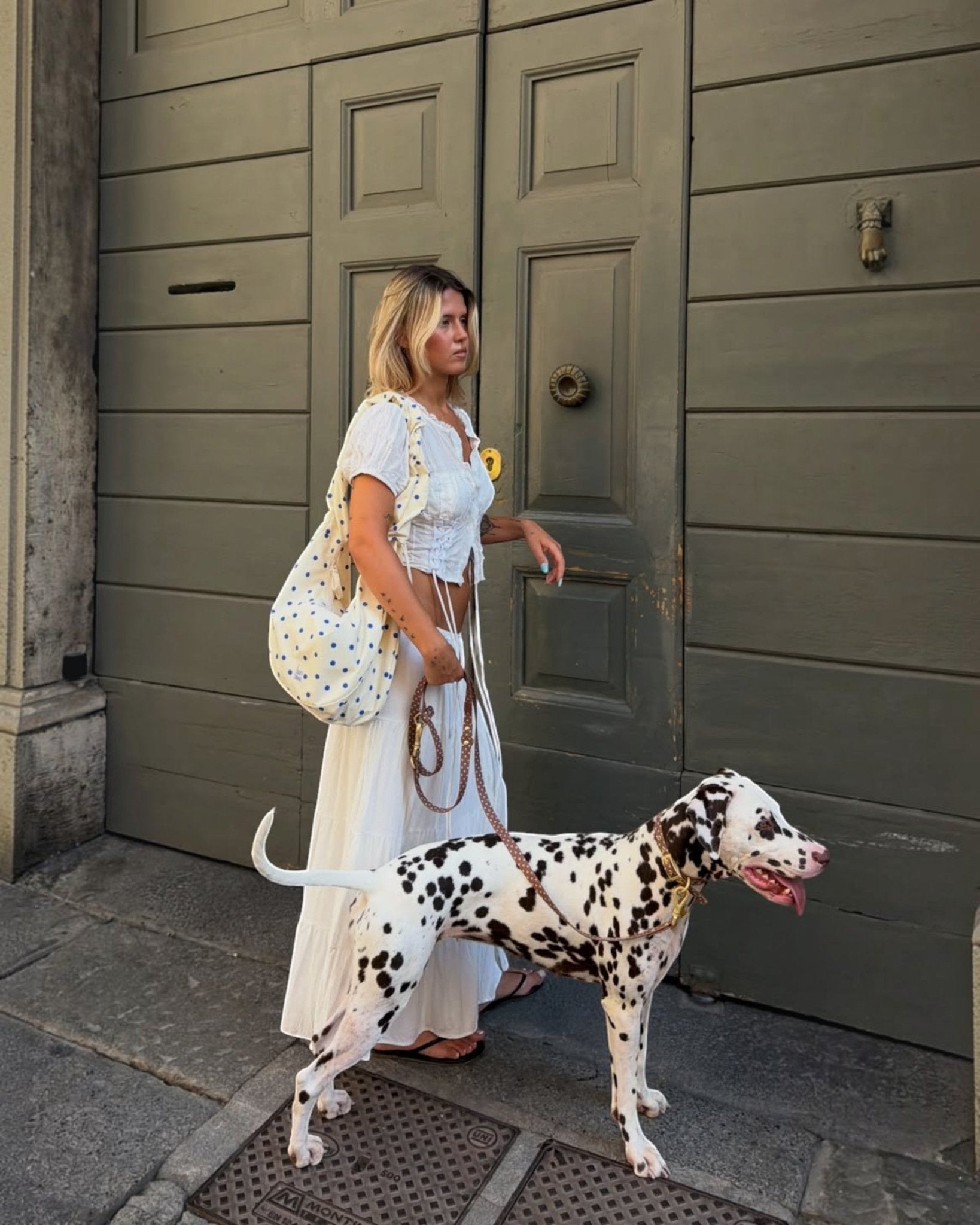 Wander! Collar Kit - Cocoa Polka Dot - FURRY MUSE WAN-CKIT-S-6FT-BRP