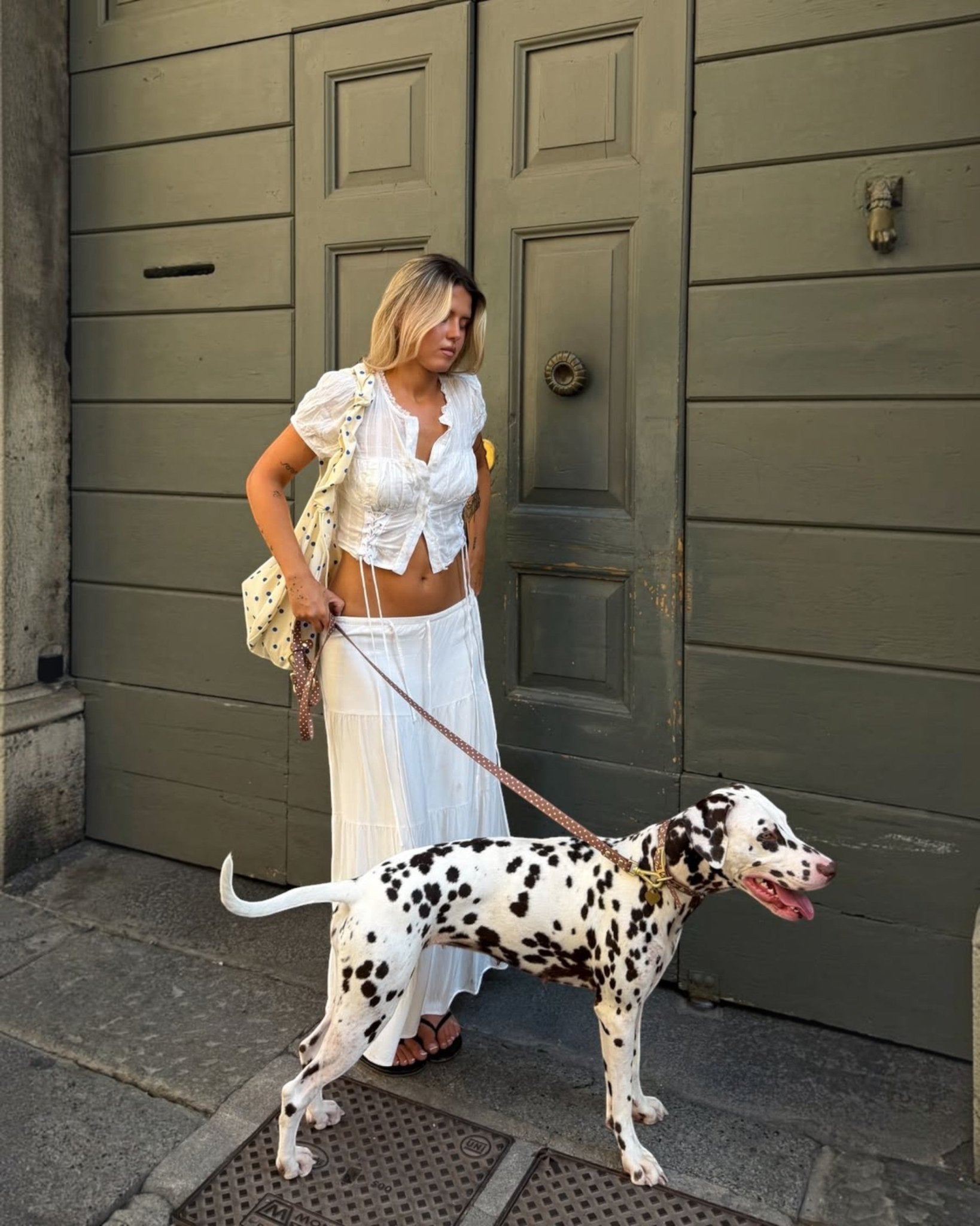 Wander! Collar Kit - Cocoa Polka Dot - FURRY MUSE WAN-CKIT-S-6FT-BRP