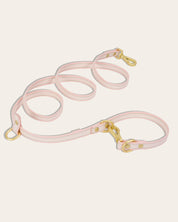 Wander! Collar Kit - Lemonade Stripe - FURRY MUSE WAN-CKIT-S-YPN-6FT-GO