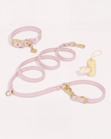 Wander! Collar Kit - Lemonade Stripe