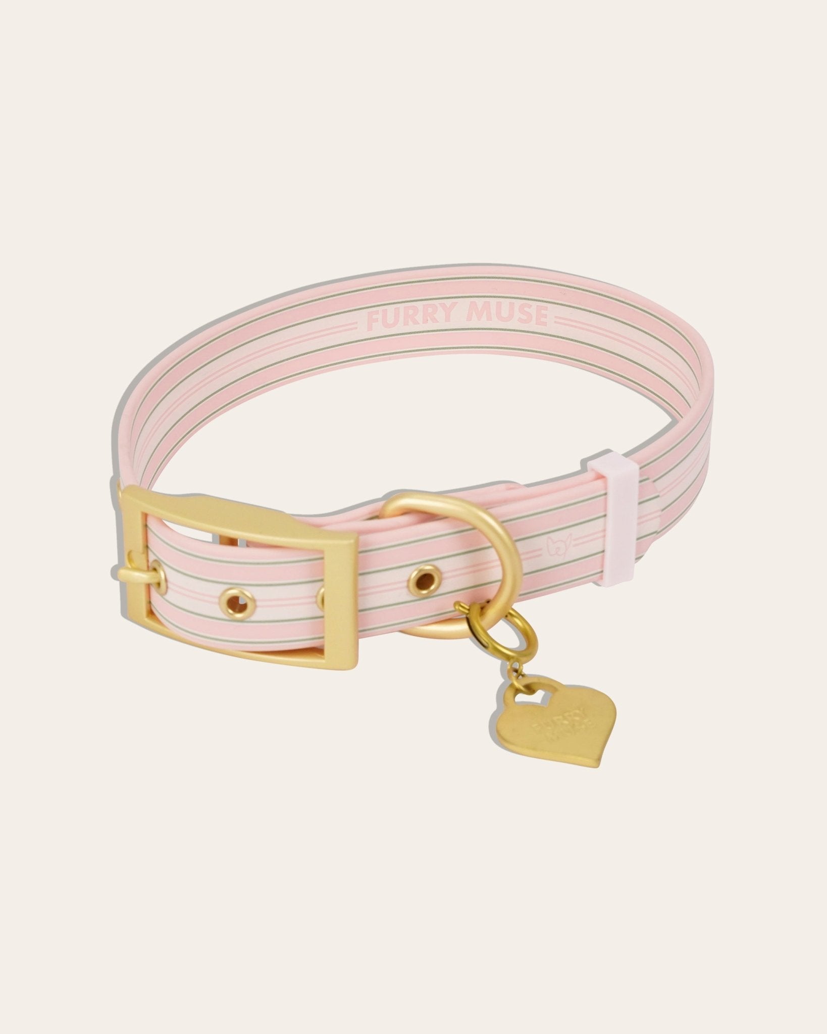 Wander! Collar Kit - Lemonade Stripe - FURRY MUSE WAN-CKIT-S-YPN-6FT-GO