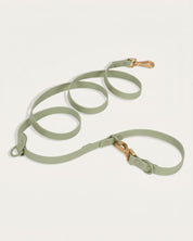 Wander! Collar Kit - Matcha - FURRY MUSE WAN-CKIT-S-GR-6FT-GO