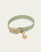 Wander! Collar Kit - Matcha - FURRY MUSE WAN-CKIT-S-GR-6FT-GO