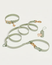 Wander! Collar Kit - Matcha - FURRY MUSE WAN-CKIT-S-GR-6FT-GO