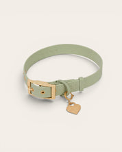 Wander! Collar Kit - Matcha - FURRY MUSE WAN-CKIT-S-GR-6FT-GO