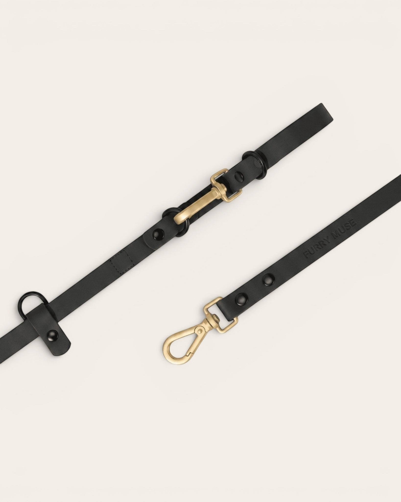 Wander! Collar Kit Midnight - Gold - FURRY MUSE WAN-CKIT-S-BLK-6FT-GO