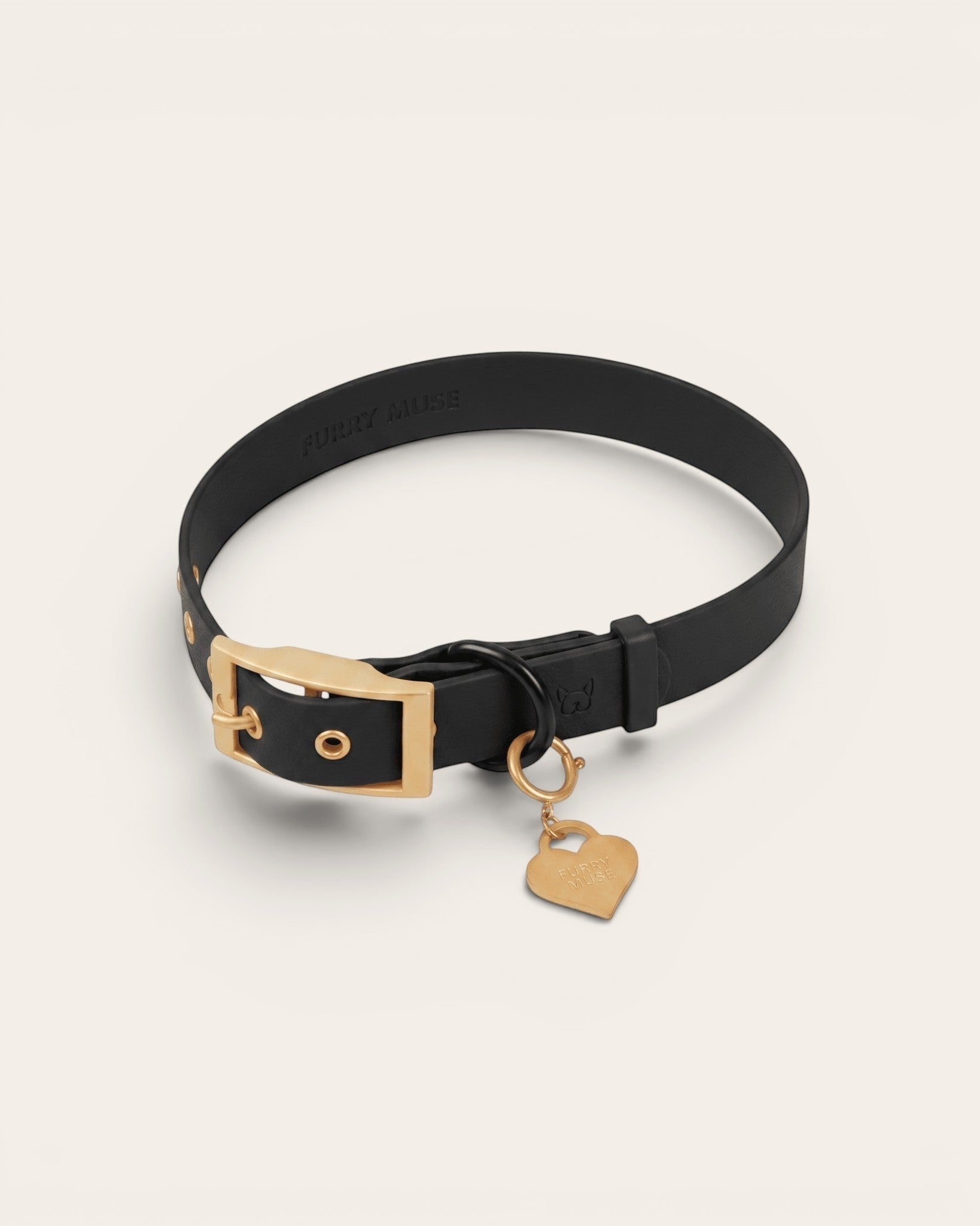 Wander! Collar Kit Midnight - Gold - FURRY MUSE WAN-CKIT-S-BLK-6FT-GO