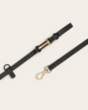 Wander! Collar Kit Midnight - Gold - FURRY MUSE WAN-CKIT-S-BLK-6FT-GO