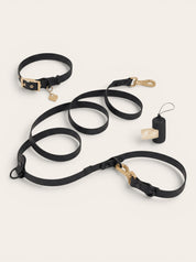 Wander! Collar Kit Midnight - Gold - FURRY MUSE WAN-CKIT-S-BLK-6FT-GO