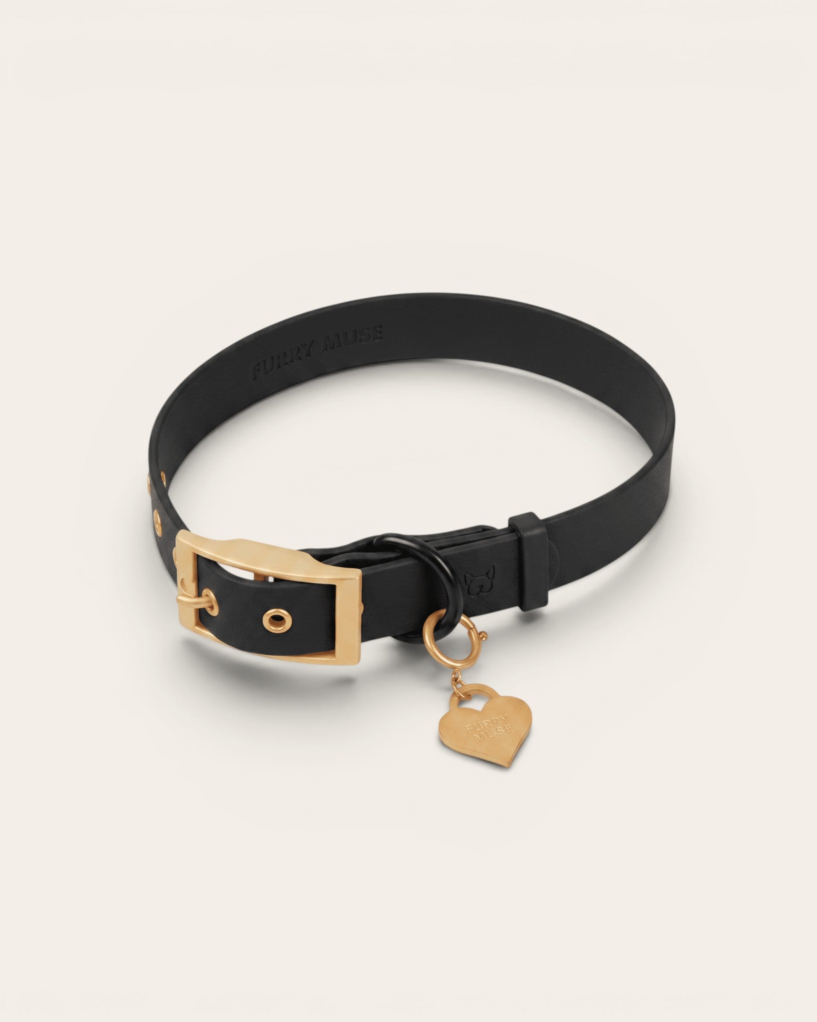 Wander! Collar Kit Midnight - Gold - FURRY MUSE WAN-CKIT-S-BLK-6FT-GO