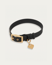 Wander! Collar Kit Midnight - Gold - FURRY MUSE WAN-CKIT-S-BLK-6FT-GO