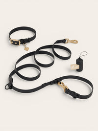 Wander! Collar Kit Midnight - Gold