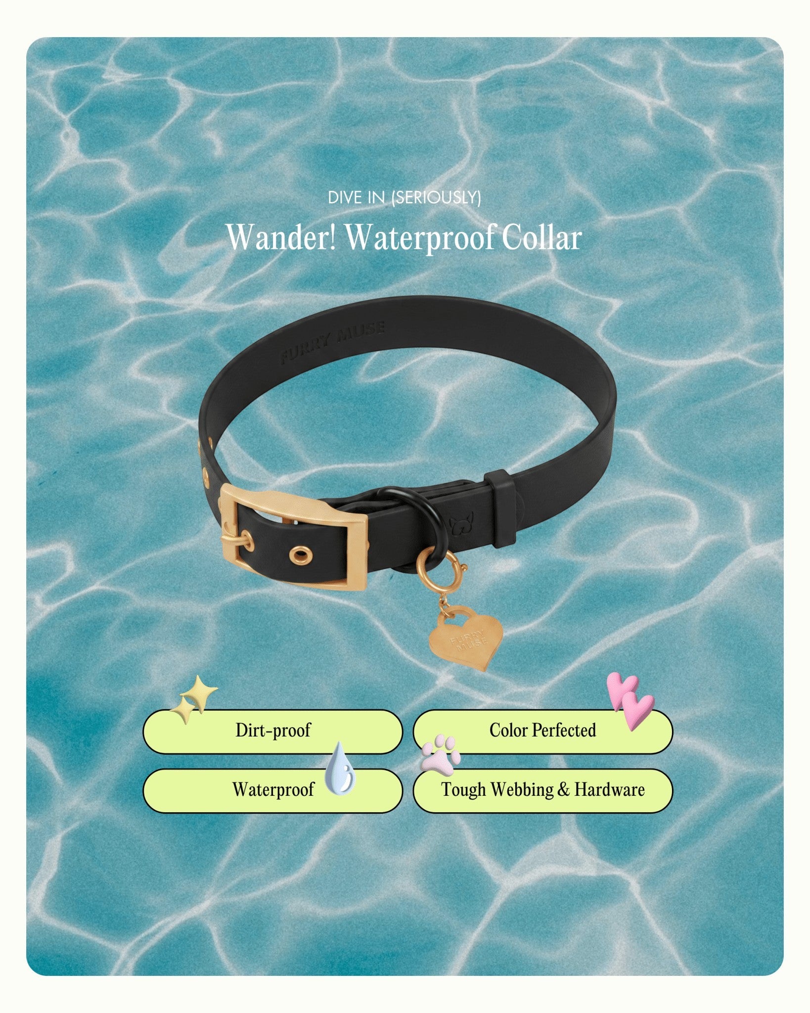 Wander! Collar Kit Midnight - Gold - FURRY MUSE WAN-CKIT-S-BLK-6FT-GO