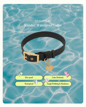 Wander! Collar Kit Midnight - Gold - FURRY MUSE WAN-CKIT-S-BLK-6FT-GO