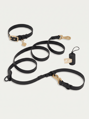 Wander! Collar Kit Midnight - Gold - FURRY MUSE WAN-CKIT-S-BLK-6FT-GO