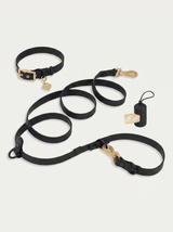 Wander! Collar Kit Midnight - Gold