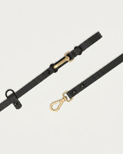 Wander! Collar Kit Midnight - Gold - FURRY MUSE WAN-CKIT-S-BLK-6FT-GO